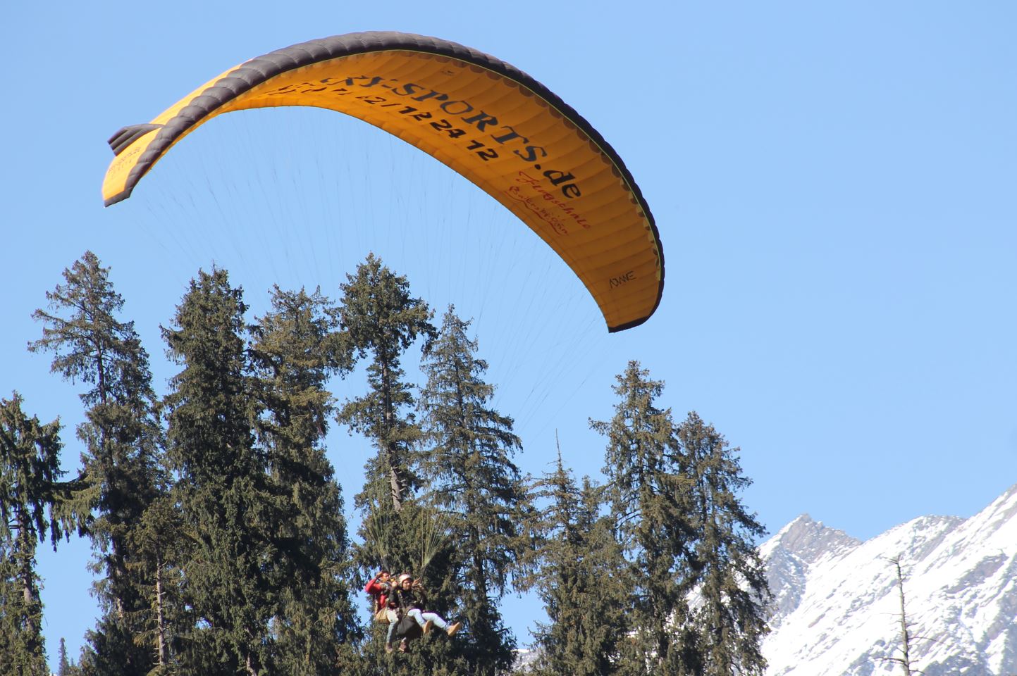 Paragliding in Manali